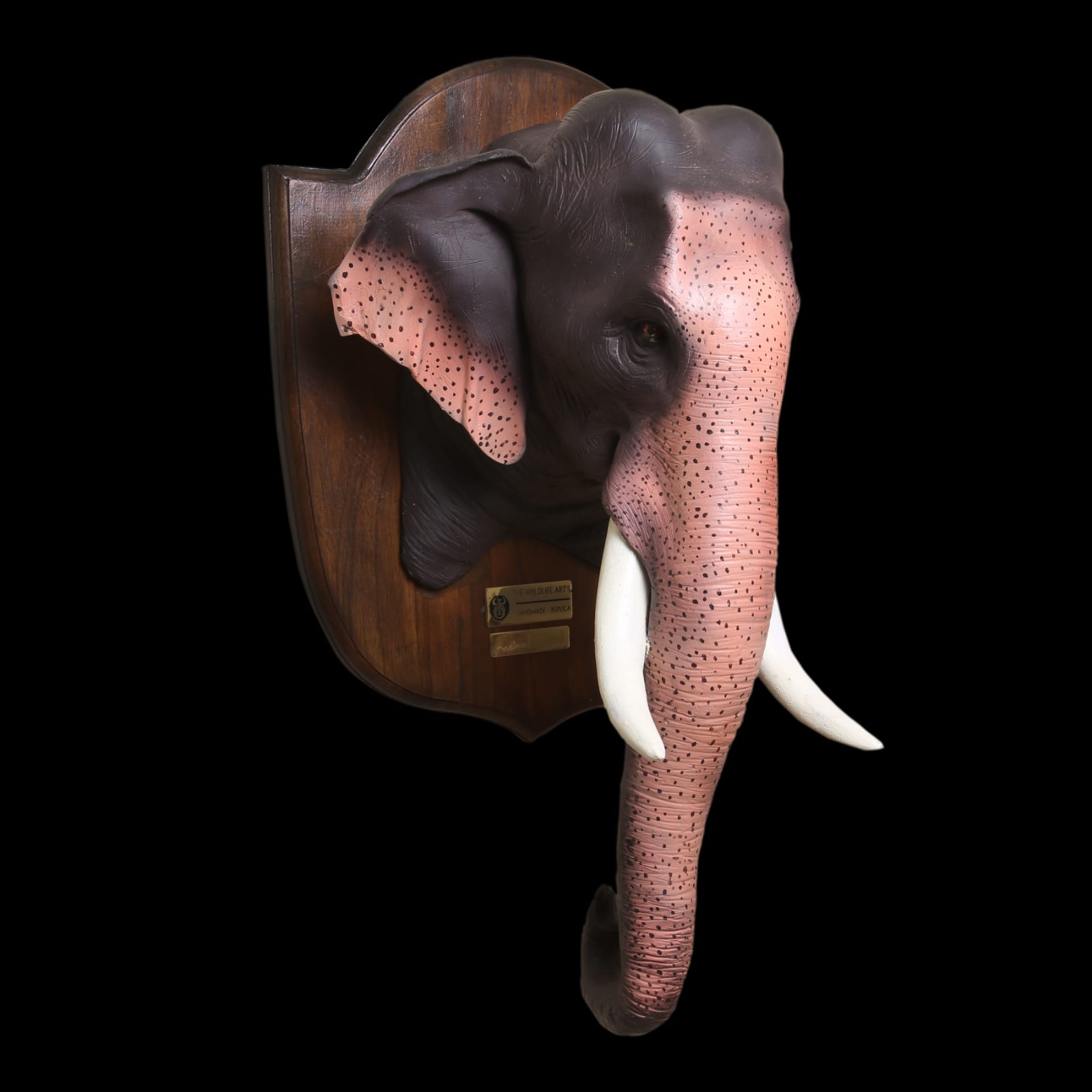Antelope Art